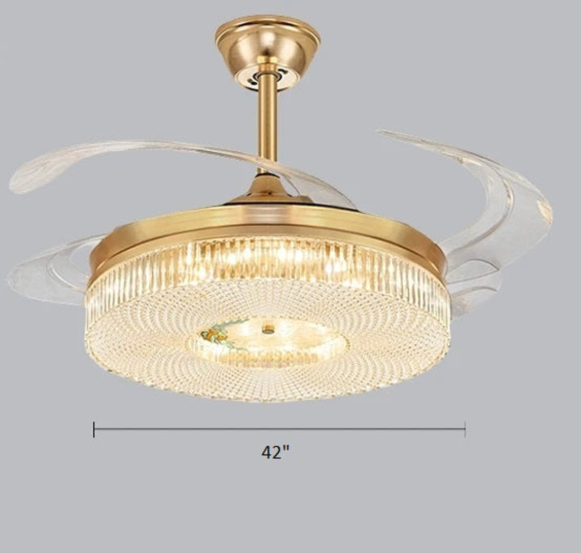 Modern Remote Control LED Ceiling Fan Light / Ruchi