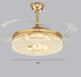 Modern Remote Control LED Ceiling Fan Light / Ruchi