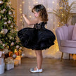 Fashionable Sequins Lace Style Party Dress / Ruchi