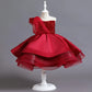 Fashionable Sequins Lace Style Party Dress / Ruchi
