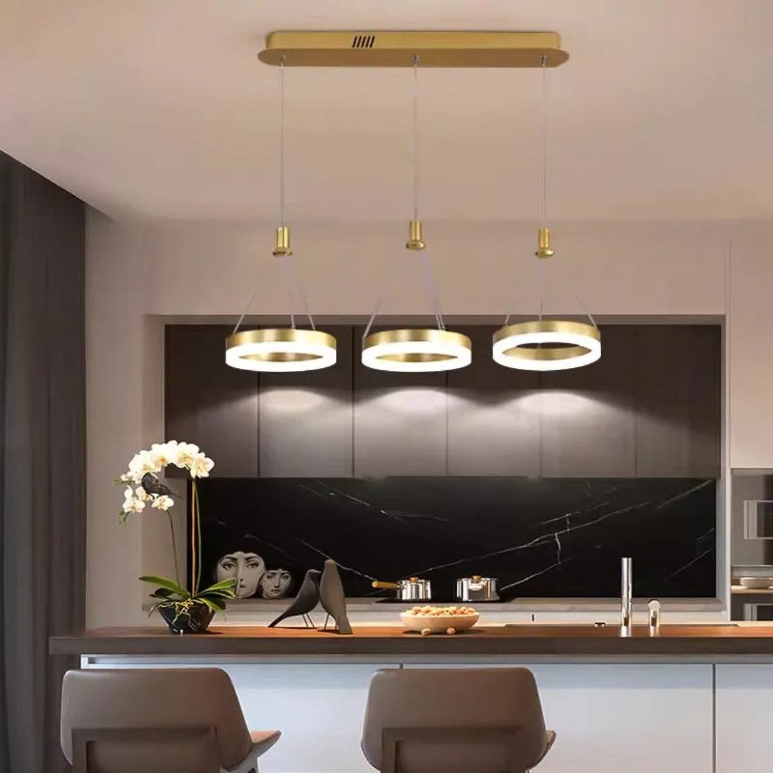 LED Remote Control Pendant Light Fixture / Ruchi
