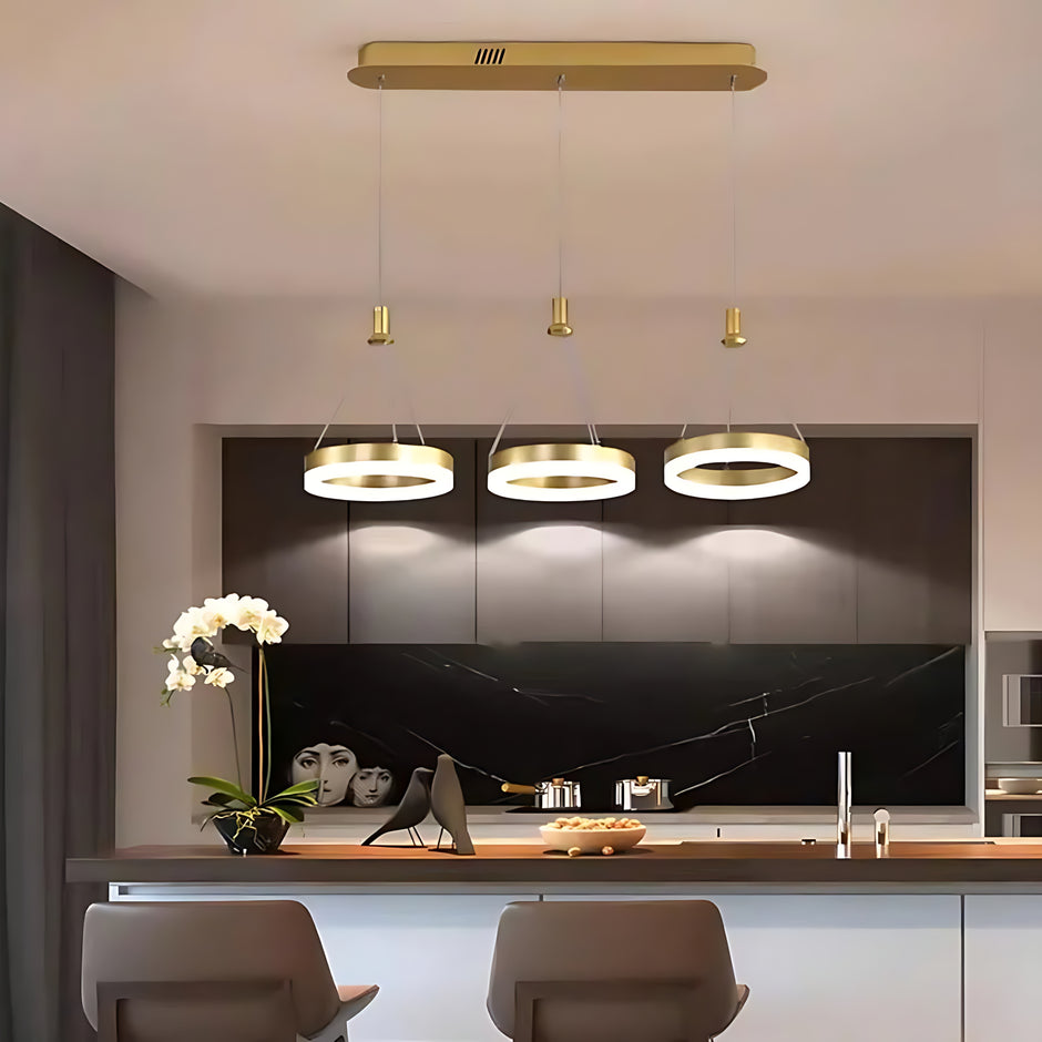 LED Remote Control Pendant Light Fixture / Ruchi