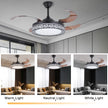 Retractable Ceiling Fan With Light And Remote / Ruchi