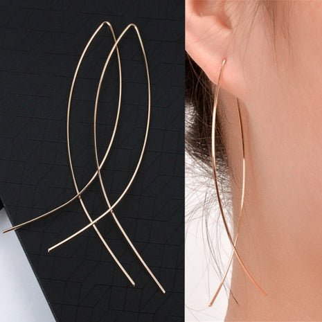 Fish Design Metal Wire Hook Earrings / Ruchi