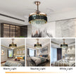 Ceiling Fan With Light And Remote / Ruchi