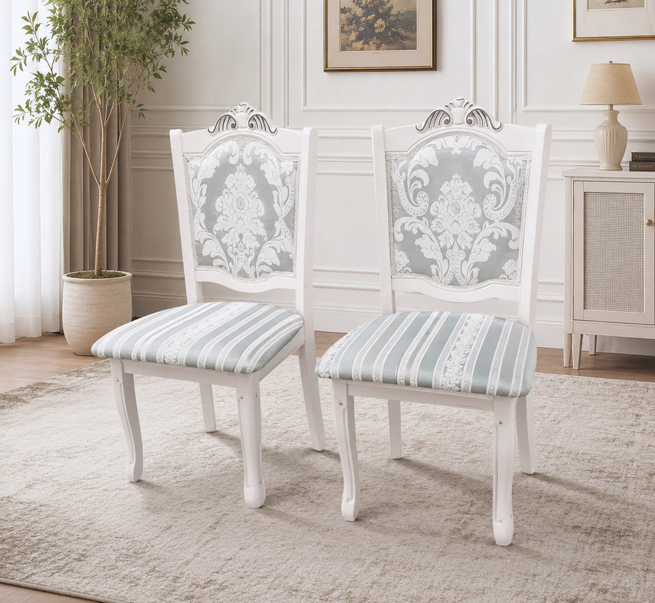 Modern Dining Chairs Set of 6 / Ruchi 