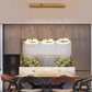 LED Remote Control Pendant Light Fixture / Ruchi