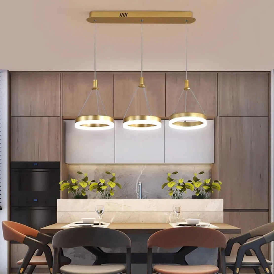 LED Remote Control Pendant Light Fixture / Ruchi