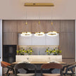 LED Remote Control Pendant Light Fixture / Ruchi