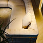 Large L-Shape Leather Fabric Sectional Sofa / Ruchi