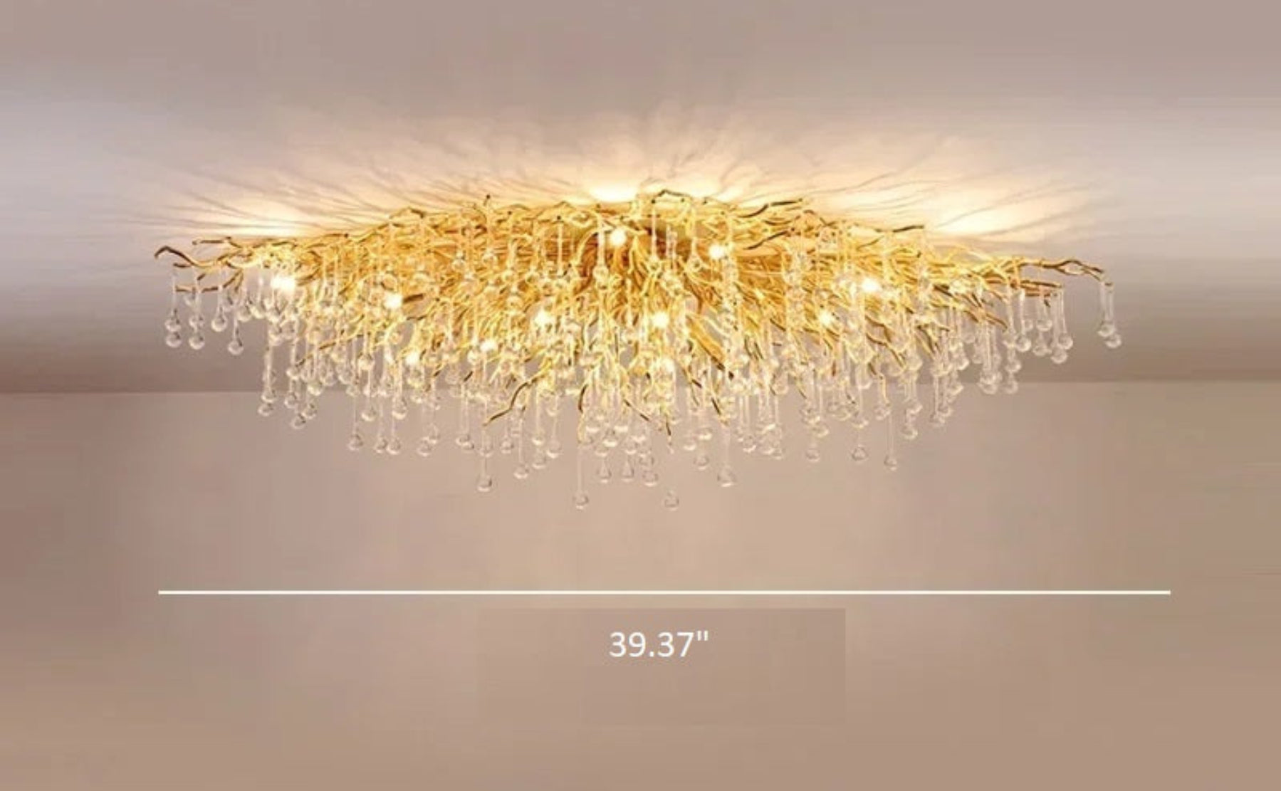 Crystal LED Ceiling Light Chandelier / Ruchi