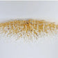 Crystal LED Ceiling Light Chandelier / Ruchi