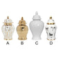 Exquisite Ceramic Ginger Jar Vase / Ruchi