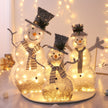 Christmas Snowman Metal Decorations With LED / Ruchi