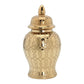Exquisite Ceramic Ginger Jar Vase / Ruchi