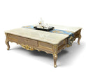 European Marble Top Coffee Table With Storage / Ruchi