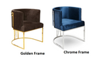 2 Piece Modern Velvet Accent Chairs / Ruchi