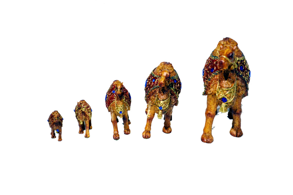5 PCS Handmade Resin Showpiece / Ruchi