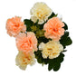 Refreshing 1 Pc Ceramic Flower Pot For Home Decoration / Ruchi