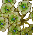 Polyresin Evil Eye Flower Tree / Ruchi