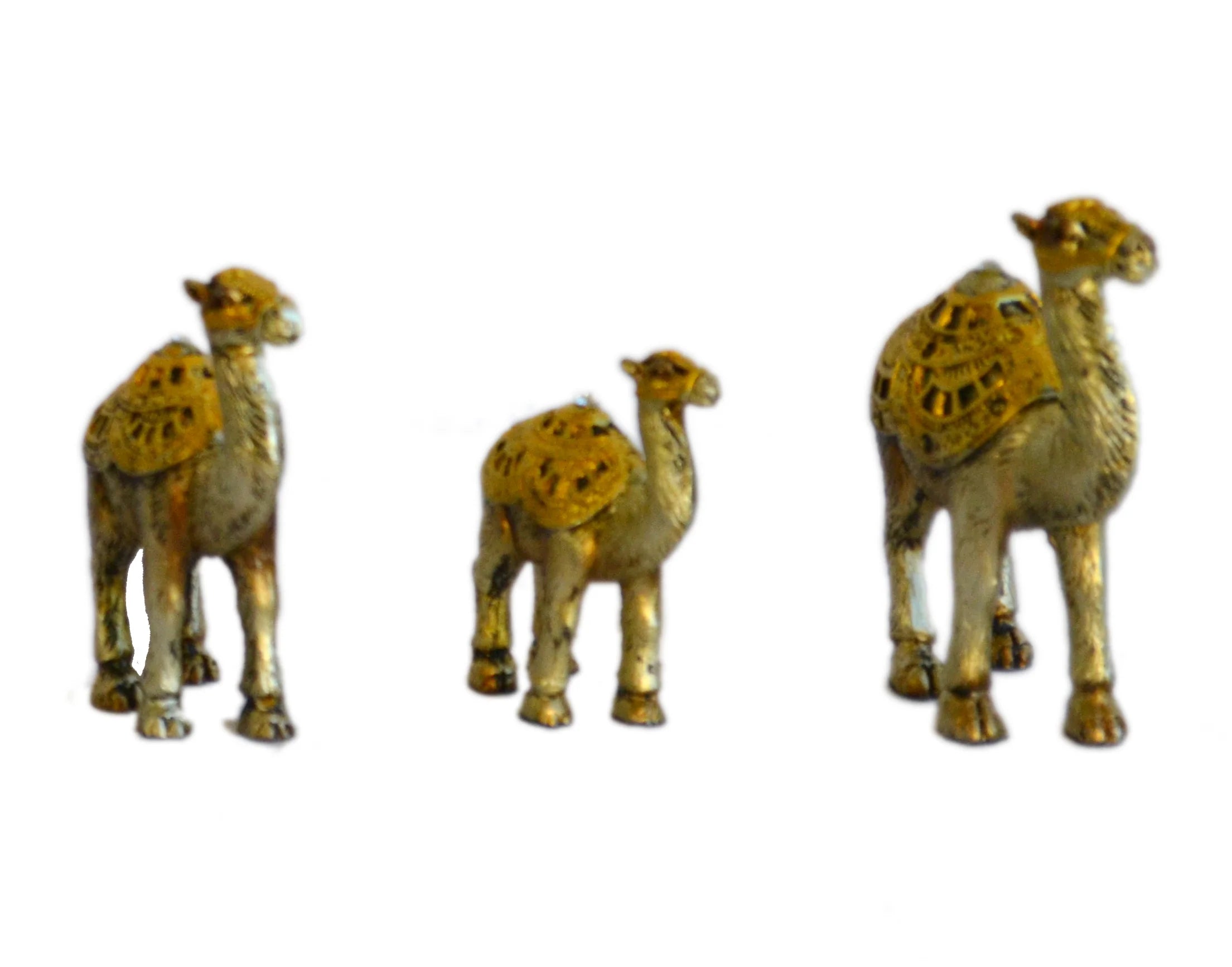 Golden Sculpture Set Of 6 / Ruchi